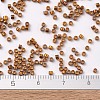 MIYUKI Delica Beads X-SEED-J020-DB0505-4