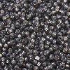 MIYUKI Round Rocailles Beads SEED-JP0008-RR0650-3