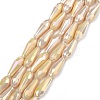 Electroplated Opaque Glass Beads Strands X-EGLA-L015-FR-B25-01-1
