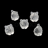 Transparent Glass Beads GLAA-D025-06L-2