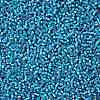TOHO 11/0 Round Beads SEED-XTR11-0023BF-2