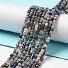 Natural Sodalite Beads Strands G-J400-A06-01-2