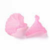 Transparent Acrylic Beads X-BSF796-C10-3