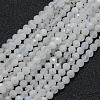 Natural Rainbow Moonstone Beads Strands X-G-E411-08-4mm-1