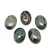 Natural Kambaba Jasper Cabochons G-R450-01-1