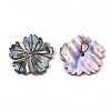 Natural Paua Shell/Abalone Shell Beads X-SSHEL-R046-02-2
