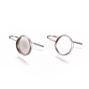 Non-Tarnish 304 Stainless Steel Earring Hooks STAS-F227-22B-P-1