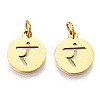304 Stainless Steel Charms LS-STAS-Q201-T446G-05-2