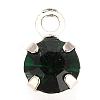 Glass Rhinestone Charms RB-6.5x4x3.5-P-4