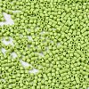 FGB 11/0 Grade A Glass Seed Beads SEED-S030-1013-2