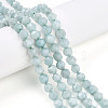 Natural Myanmar Jade/Burmese Jade Beads Strands G-T108-27A-01-1