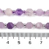 Natural Lepidolite Beads Strands G-O201B-108E-5