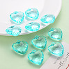 Transparent Acrylic Pendants TACR-T024-03B-946-6