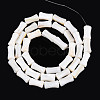 Natural Freshwater Shell Beads Strands SHEL-N038-02-2