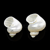 Natural Spiral Shell Beads X-SSHEL-N034-126-2