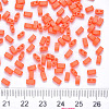 FGB 2-Hole Baking Paint Glass Seed Beads SEED-S031-M-406-3