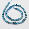 Natural Apatite Beads Strands X-G-D856-01-6.5mm-2