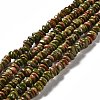 Natural Unakite Beads Strands G-G841-B13-1