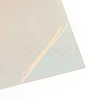 Transparent PVC Vinyl Sheets DIY-WH0163-09A-04-2