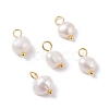 Natural Cultured Freshwater Pearl Charms PALLOY-JF01098-03-1