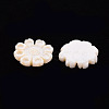 Freshwater Shell Cabochons SHEL-T018-14-3