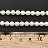 Electroplated Shell Pearl Beads Strands BSHE-K017-5mm-4