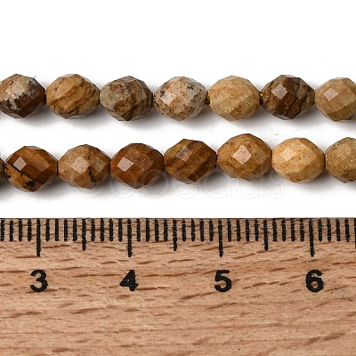 Natural Picture Jasper Beads Strands G-K376-F10-01-1