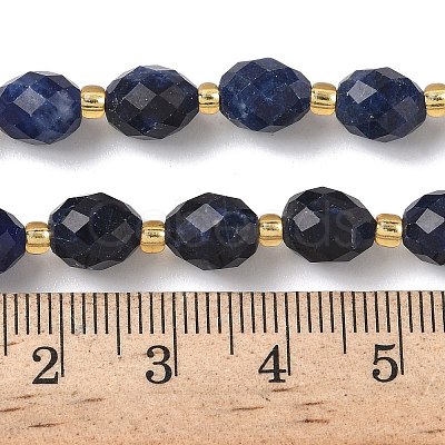 Natural Sodalite Beads Strands G-F809-A19-01B-1