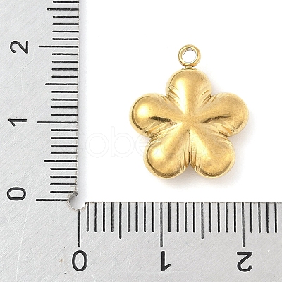 304 Stainless Steel Pendants LS-STAS-R162-02G-01-1