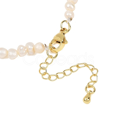 Natural Freshwater Pearl Necklaces NJEW-JN02515-1