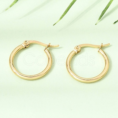 201 Stainless Steel Hoop Earrings SA-CBA4A0D-16G-D-1