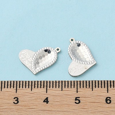 925 Sterling Silver Charms STER-C004-07S-1
