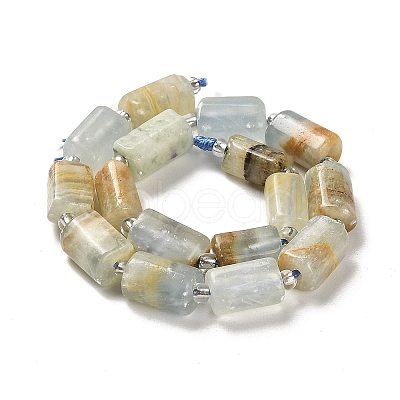 Natural Blue Calcite Beads Strands G-N327-06-05-1