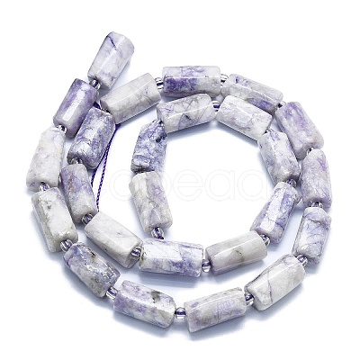 Natural Purple Turquoise Beads Strands G-K245-I09-A01-1