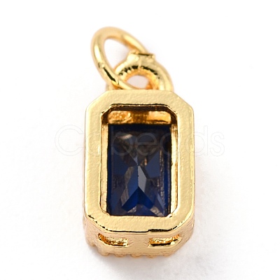 Real 18K Gold Plated Brass Inlaid Cubic Zirconia Charms ZIRC-L100-075G-05-1