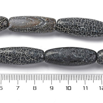 Natural Weathered Agate Beads Strands G-P570-C01-01-1