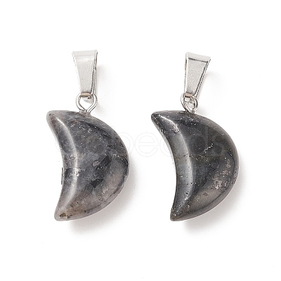 Natural Larvikite Pendants G-Q369-16-1
