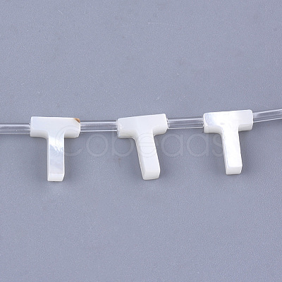 Natural Sea Shell Beads SHEL-T012-60T-1