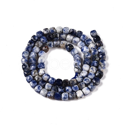 Natural Blue Spot Jasper Beads Strands G-N342-113-1