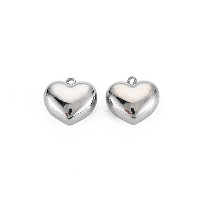 Non-Tarnish 304 Stainless Steel Charms LS-STAS-N097-148P-1