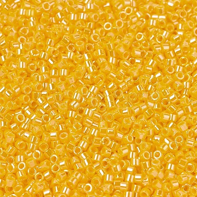 MIYUKI Delica Beads X-SEED-J020-DB1562-1