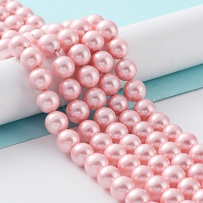 Shell Pearl Bead Strands X-BSHE-L025-06-8mm-1