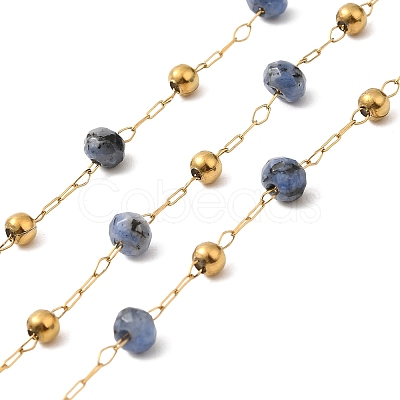 304 Stainless Steel Handmade Beaded Chains CHS-P017-A02-G-1
