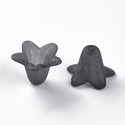 Transparent Acrylic Beads PLF018-17-1