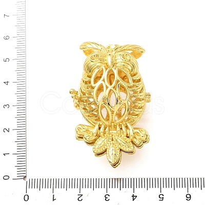 Brass Cage Big Pendants KK-CBA8ACD-06G-1