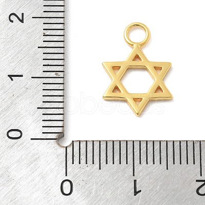 925 Sterling Silver Pendants STER-Z012-04G-08-1