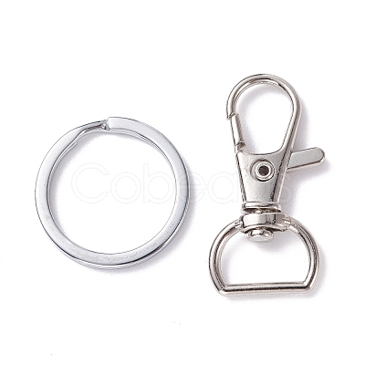 Alloy and Iron Keychain Clasps PALLOY-XCP0001-70-1