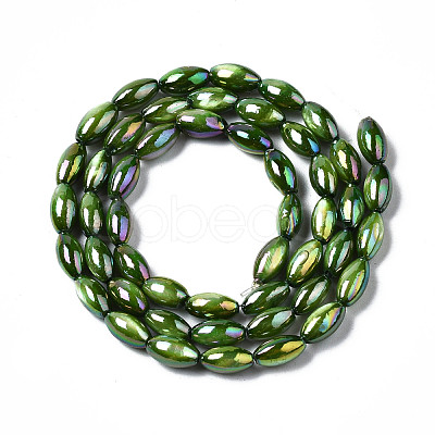 Freshwater Shell Beads Strands SHEL-N026-141B-1