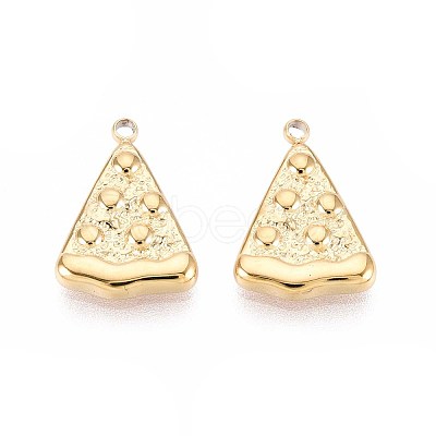 304 Stainless Steel Charms STAS-N109-255G-1