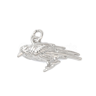 Rack Plating Brass Pendants KK-S372-21P-1